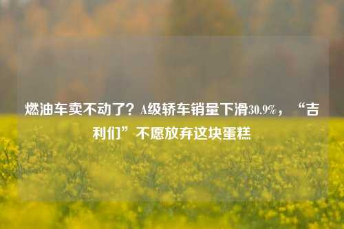 燃油车卖不动了？A级轿车销量下滑30.9%，“吉利们”不愿放弃这块蛋糕-第1张图片-体育新闻