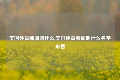 美国体育新闻叫什么,美国体育新闻叫什么名字来着-第1张图片-体育新闻