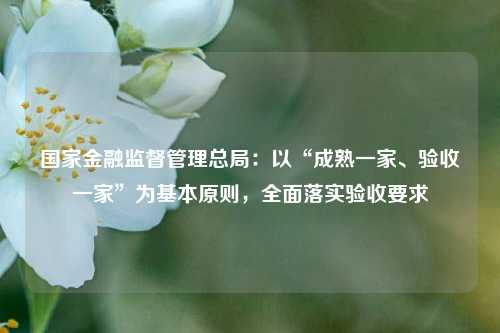 国家金融监督管理总局：以“成熟一家、验收一家”为基本原则，全面落实验收要求-第1张图片-体育新闻