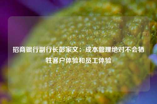 招商银行副行长彭家文：成本管理绝对不会牺牲客户体验和员工体验-第1张图片-体育新闻