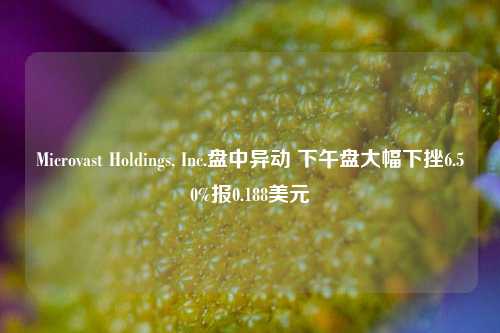 Microvast Holdings, Inc.盘中异动 下午盘大幅下挫6.50%报0.188美元-第1张图片-体育新闻