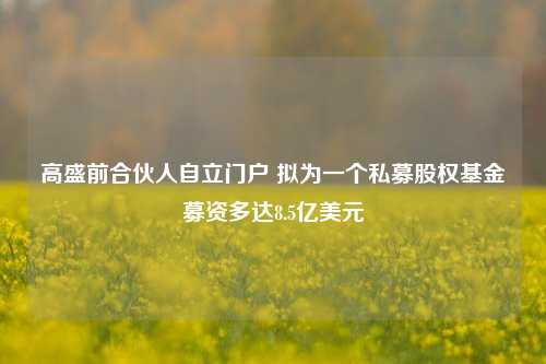 高盛前合伙人自立门户 拟为一个私募股权基金募资多达8.5亿美元-第1张图片-体育新闻