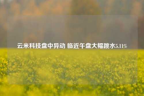 云米科技盘中异动 临近午盘大幅跳水5.11%-第1张图片-体育新闻