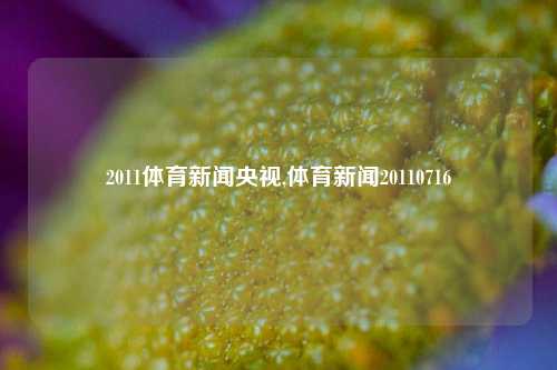 2011体育新闻央视,体育新闻20110716-第1张图片-体育新闻