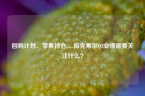 回购计划、苹果持仓......伯克希尔Q3业绩需要关注什么？-第1张图片-体育新闻