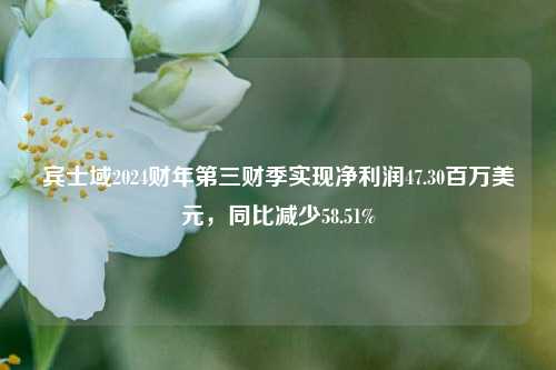 宾士域2024财年第三财季实现净利润47.30百万美元，同比减少58.51%-第1张图片-体育新闻