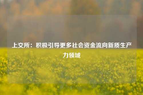 上交所：积极引导更多社会资金流向新质生产力领域-第1张图片-体育新闻