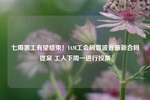 七周罢工有望结束！IAM工会同意波音最新合同提案 工人下周一进行投票-第1张图片-体育新闻