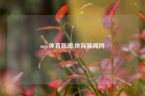 mgc体育新闻,体肓新闻网-第1张图片-体育新闻