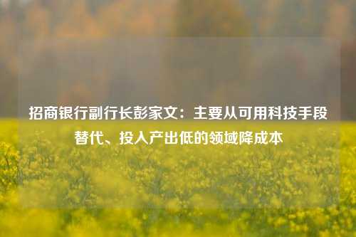 招商银行副行长彭家文：主要从可用科技手段替代、投入产出低的领域降成本-第1张图片-体育新闻