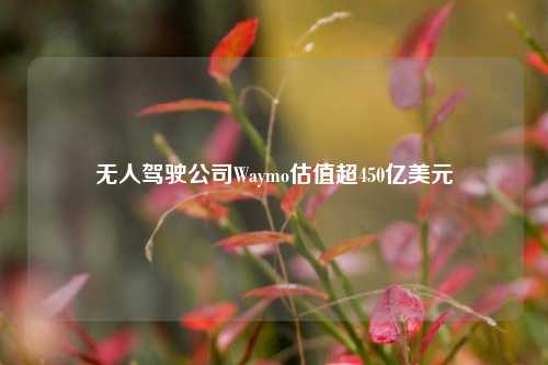 无人驾驶公司Waymo估值超450亿美元-第1张图片-体育新闻