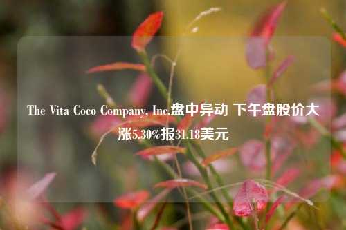 The Vita Coco Company, Inc.盘中异动 下午盘股价大涨5.30%报31.18美元-第1张图片-体育新闻