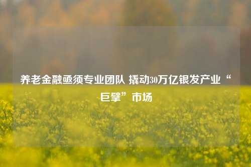 养老金融亟须专业团队 撬动30万亿银发产业“巨擘”市场-第1张图片-体育新闻