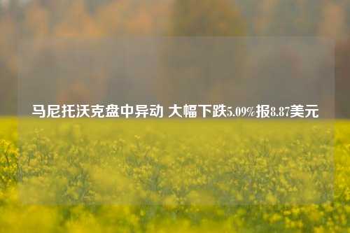 马尼托沃克盘中异动 大幅下跌5.09%报8.87美元-第1张图片-体育新闻