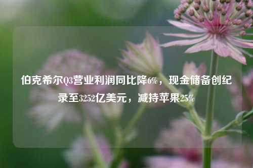 伯克希尔Q3营业利润同比降6%，现金储备创纪录至3252亿美元，减持苹果25%-第1张图片-体育新闻