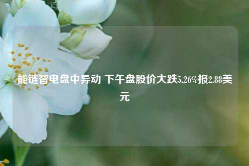 能链智电盘中异动 下午盘股价大跌5.26%报2.88美元-第1张图片-体育新闻