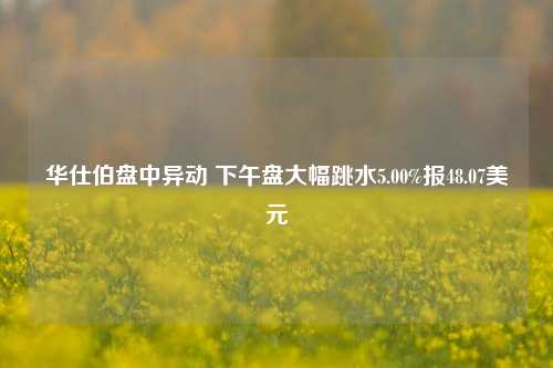 华仕伯盘中异动 下午盘大幅跳水5.00%报48.07美元-第1张图片-体育新闻