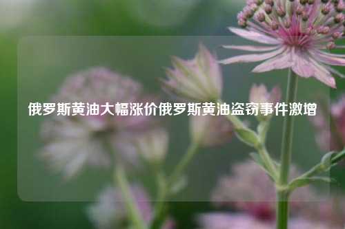 俄罗斯黄油大幅涨价俄罗斯黄油盗窃事件激增-第1张图片-体育新闻