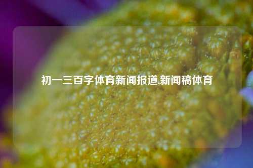 初一三百字体育新闻报道,新闻稿体育-第1张图片-体育新闻