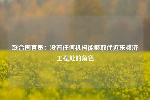 联合国官员：没有任何机构能够取代近东救济工程处的角色-第1张图片-体育新闻