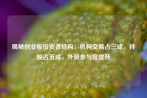 揭秘创业板投资者结构：机构交易占三成，持股占五成，外资参与度提升-第1张图片-体育新闻