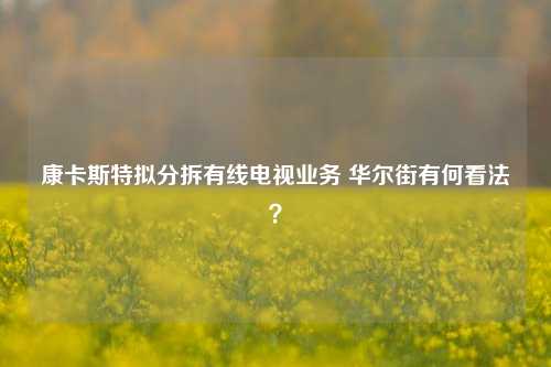 康卡斯特拟分拆有线电视业务 华尔街有何看法？-第1张图片-体育新闻