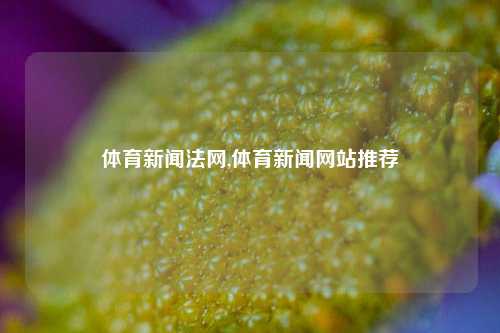 体育新闻法网,体育新闻网站推荐-第1张图片-体育新闻