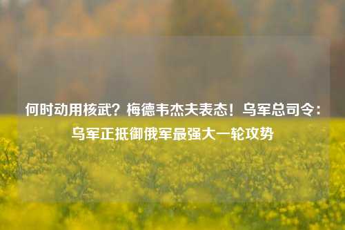 何时动用核武？梅德韦杰夫表态！乌军总司令：乌军正抵御俄军最强大一轮攻势-第1张图片-体育新闻