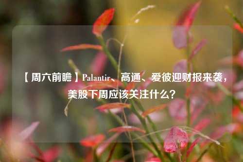 【周六前瞻】Palantir、高通、爱彼迎财报来袭，美股下周应该关注什么？-第1张图片-体育新闻