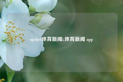 opebet体育新闻i,体育新闻 app-第1张图片-体育新闻