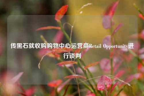 传黑石就收购购物中心运营商Retail Opportunity进行谈判-第1张图片-体育新闻