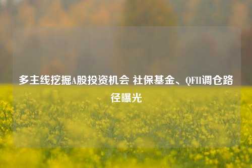 多主线挖掘A股投资机会 社保基金、QFII调仓路径曝光-第1张图片-体育新闻