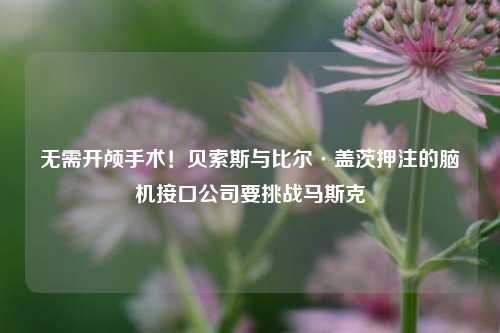 无需开颅手术！贝索斯与比尔·盖茨押注的脑机接口公司要挑战马斯克-第1张图片-体育新闻