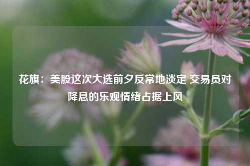 花旗：美股这次大选前夕反常地淡定 交易员对降息的乐观情绪占据上风-第1张图片-体育新闻