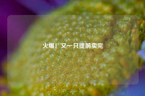 火爆！又一只提前卖完-第1张图片-体育新闻