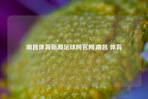 南昌体育新闻足球网官网,南昌 体育-第1张图片-体育新闻