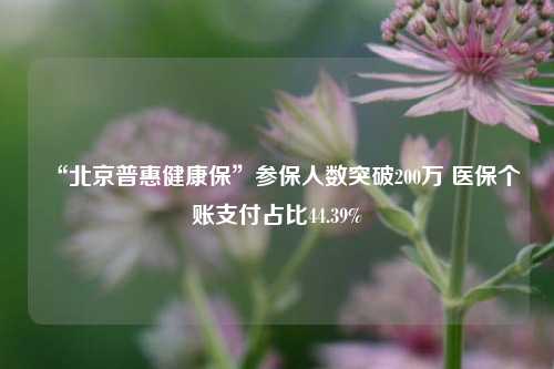 “北京普惠健康保”参保人数突破200万 医保个账支付占比44.39%-第1张图片-体育新闻