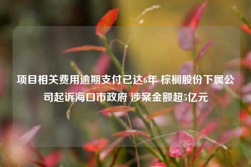 项目相关费用逾期支付已达6年 棕榈股份下属公司起诉海口市政府 涉案金额超5亿元-第1张图片-体育新闻