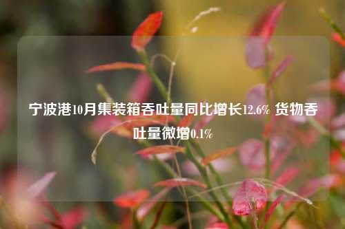 宁波港10月集装箱吞吐量同比增长12.6% 货物吞吐量微增0.1%-第1张图片-体育新闻