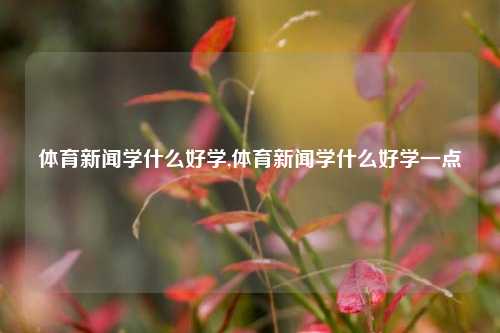 体育新闻学什么好学,体育新闻学什么好学一点-第1张图片-体育新闻