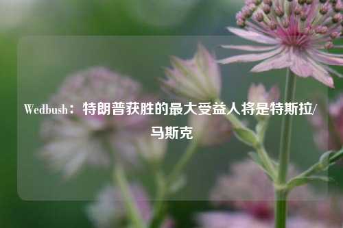 Wedbush：特朗普获胜的最大受益人将是特斯拉/马斯克-第1张图片-体育新闻