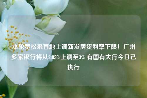 本轮宽松来首地上调新发房贷利率下限！广州多家银行将从2.85%上调至3% 有国有大行今日已执行-第1张图片-体育新闻