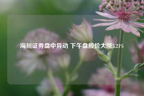 海川证券盘中异动 下午盘股价大涨5.21%-第1张图片-体育新闻