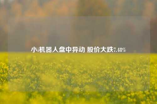 小i机器人盘中异动 股价大跌7.48%-第1张图片-体育新闻