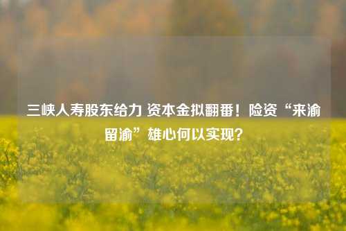 三峡人寿股东给力 资本金拟翻番！险资“来渝留渝”雄心何以实现？-第1张图片-体育新闻