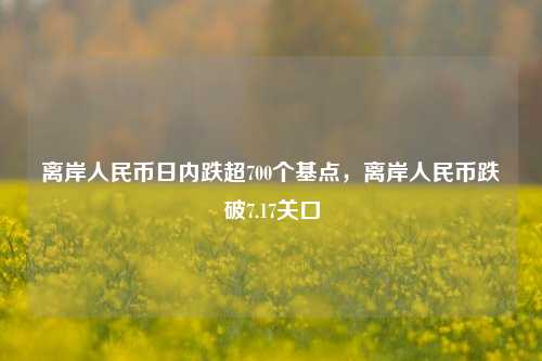 离岸人民币日内跌超700个基点，离岸人民币跌破7.17关口-第1张图片-体育新闻