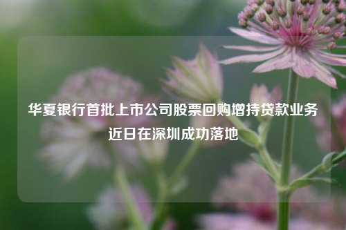 华夏银行首批上市公司股票回购增持贷款业务近日在深圳成功落地-第1张图片-体育新闻