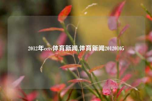 2012年cctv体育新闻,体育新闻20120105-第1张图片-体育新闻