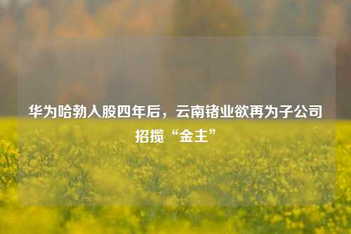 华为哈勃入股四年后，云南锗业欲再为子公司招揽“金主”-第1张图片-体育新闻