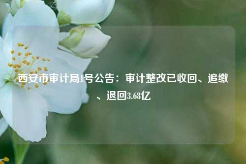 西安市审计局1号公告：审计整改已收回、追缴、退回3.68亿-第1张图片-体育新闻